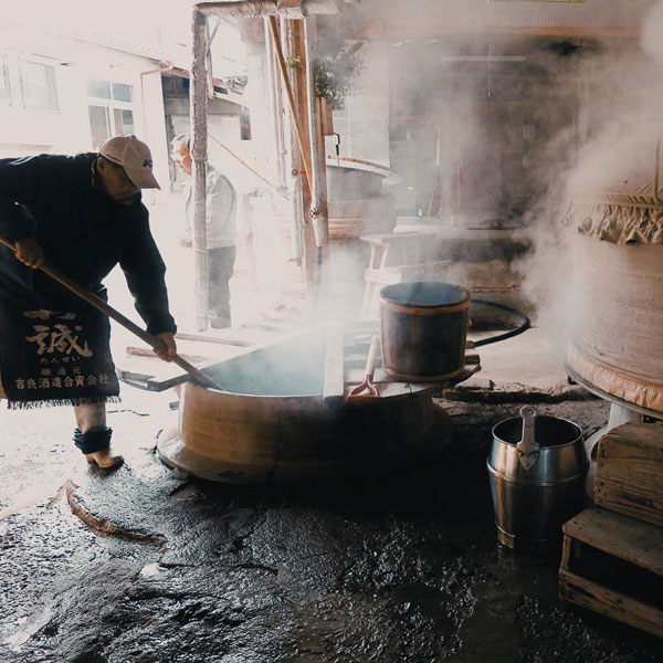 吉良酒造の蒸米の写真